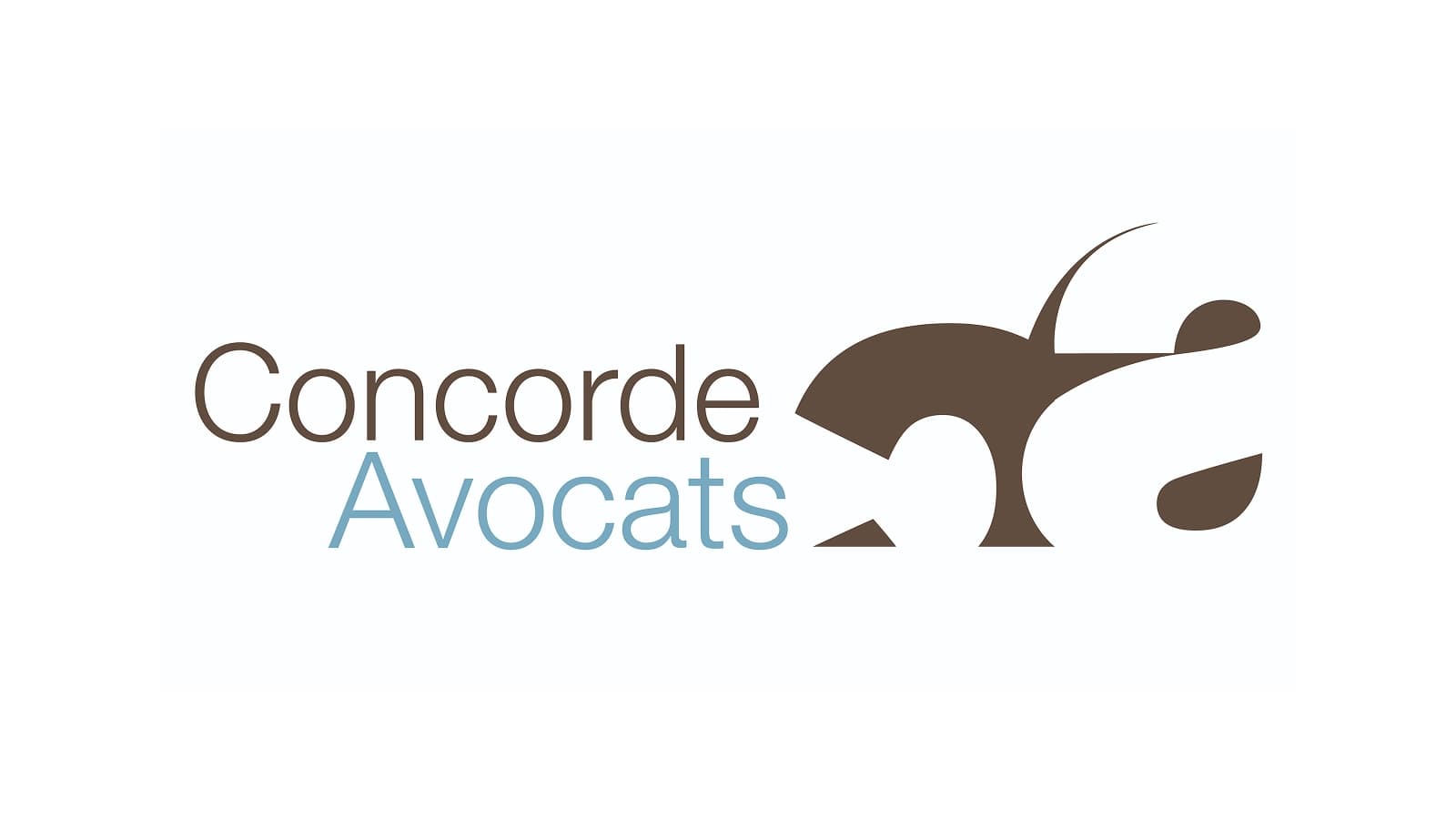 Construction et visite de chantier VEFA